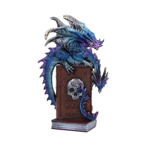 A Tale of Dragons Skull Book Figurine 22cm